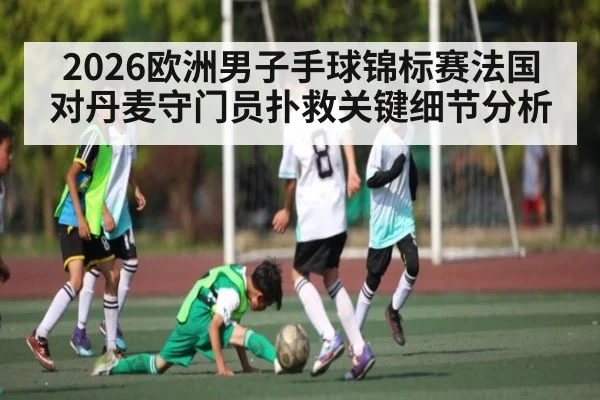 2026欧洲男子手球锦标赛法国对丹麦守门员扑救关键细节分析