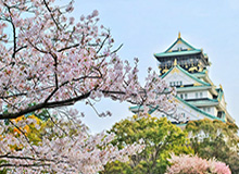 开云APP-【法甲解签】巴黎想晋级还需力拼多特 里昂形势凶险